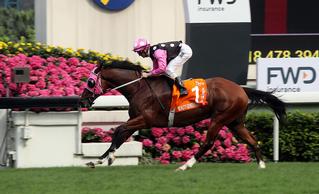 Beauty Generation (NZ) claiming the G1 Champions Mile at Sha Tin. Photo Cred: HKJC